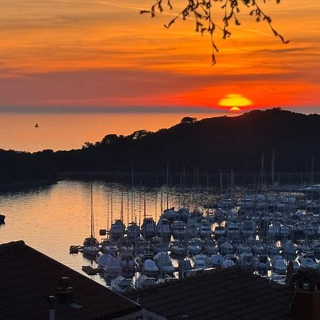 Guesthouse Riba Vrsar Bagian luar foto