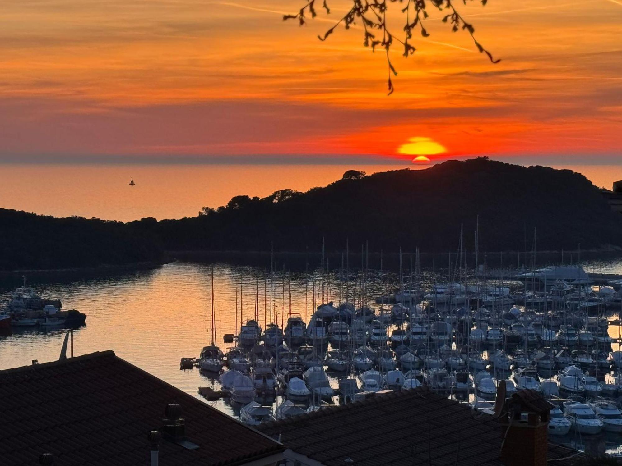 Guesthouse Riba Vrsar Bagian luar foto